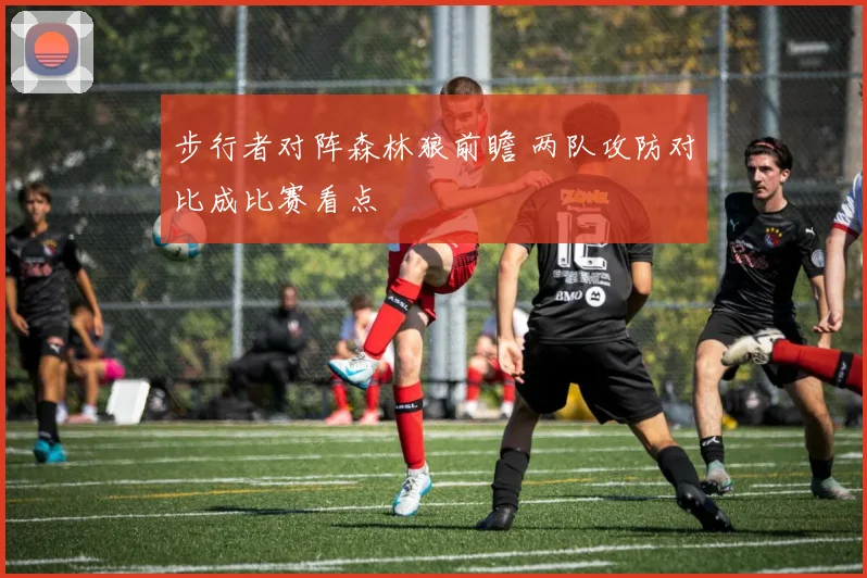 步行者对阵森林狼前瞻 两队攻防对比成比赛看点
