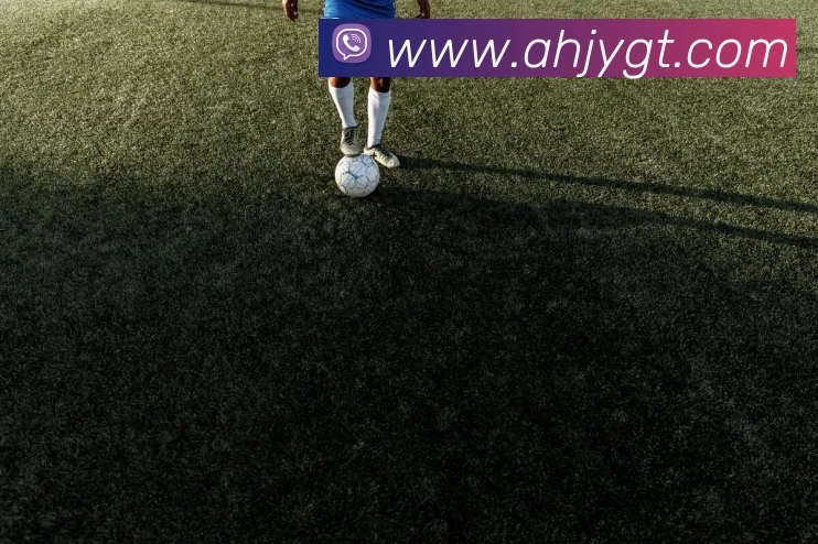 leyu乐鱼网址发展历程